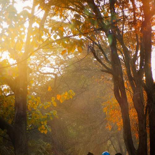 Photo #8125590