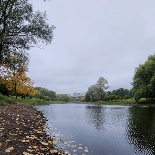 Photo #8126031