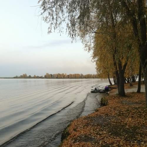 краски осени