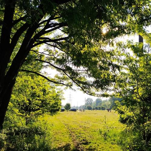 Photo #8126155