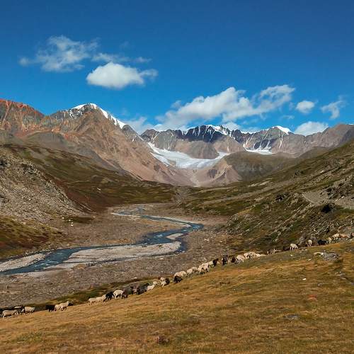 Photo #8126433