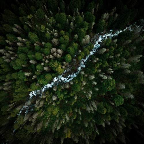 Photo #8126836