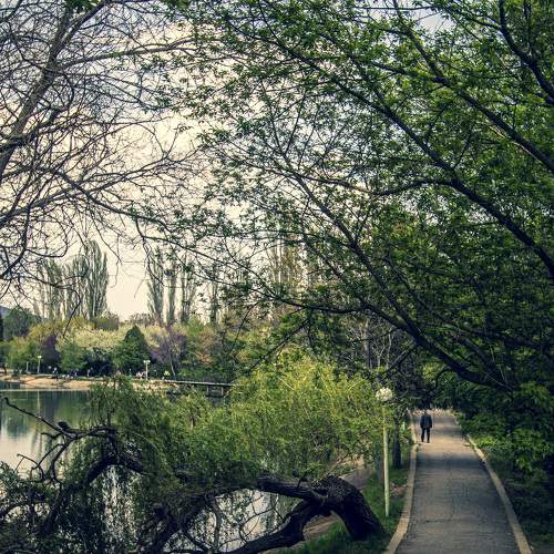 Photo #8126982