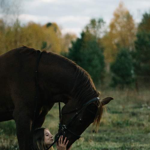 Photo #8127079