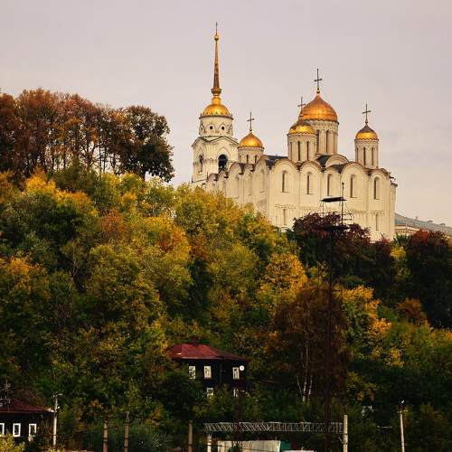 Photo #8127826