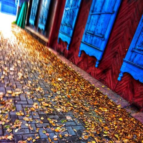 Photo #8128282