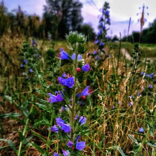 Photo #8128369