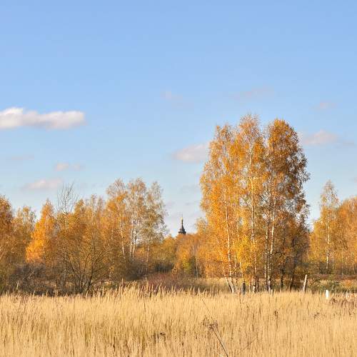 Photo #8129237