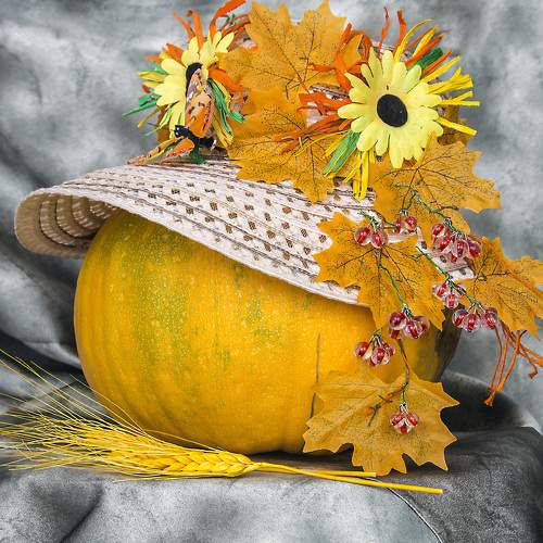 Photo #8129239