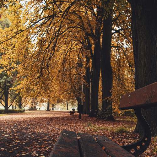 Photo #8129318