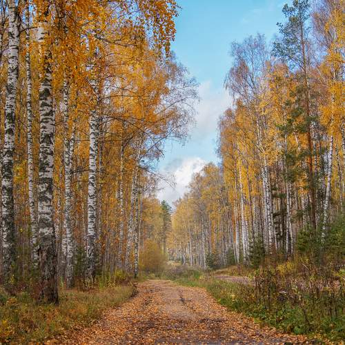 Photo #8129676