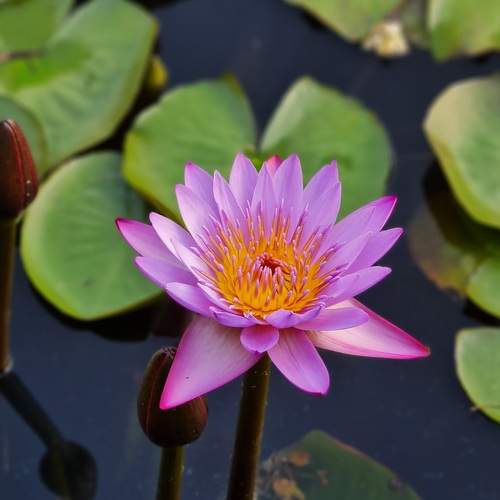 Photo #8129686
