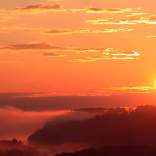 Photo #8129782