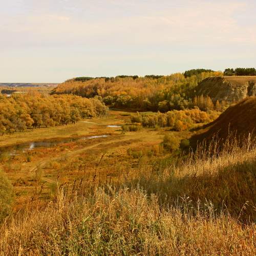 Photo #8129813