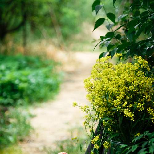 Photo #8130163