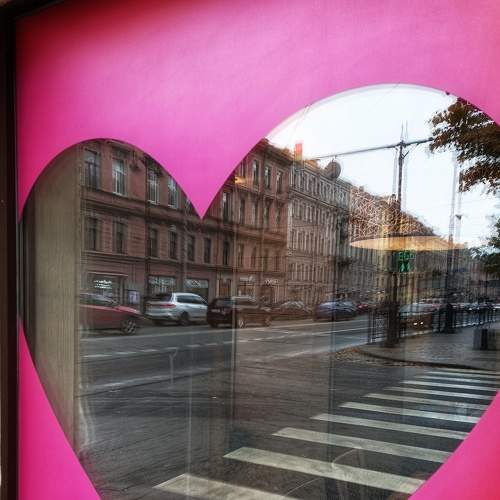 Photo #8130597