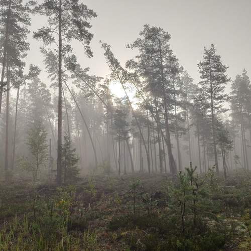 Photo #8130603
