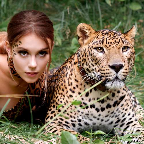 Photo #8130620