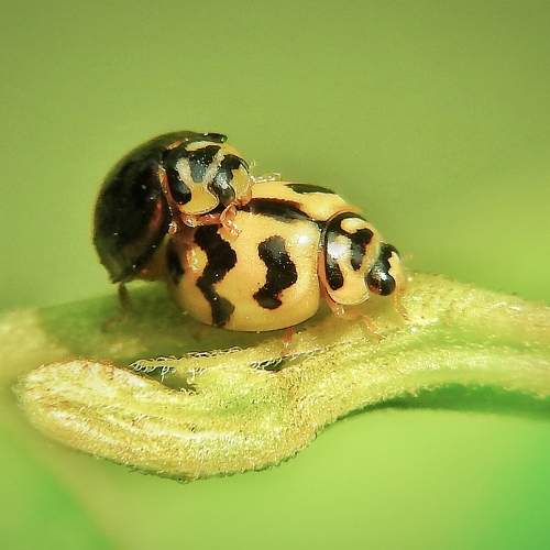 Photo #8130630