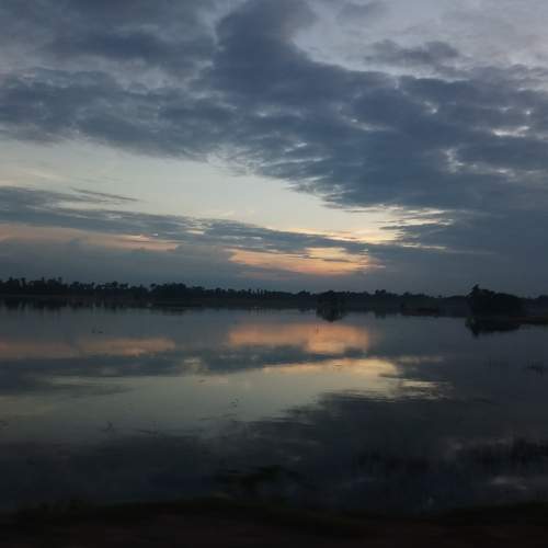 Photo #8130670