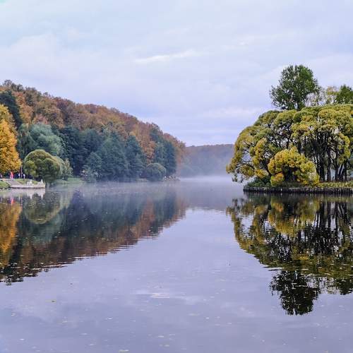 Photo #8130689