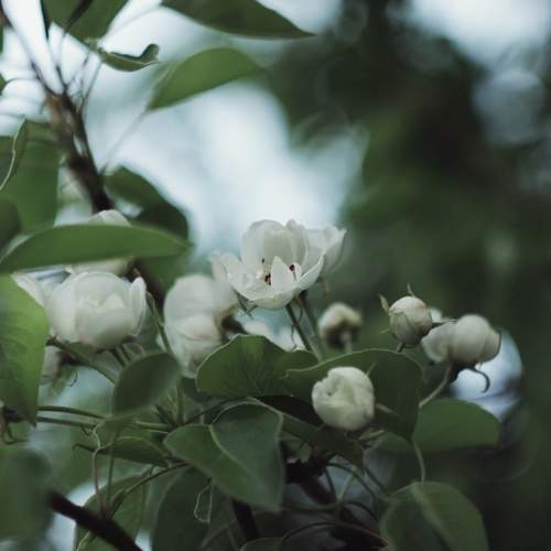 Photo #8131000