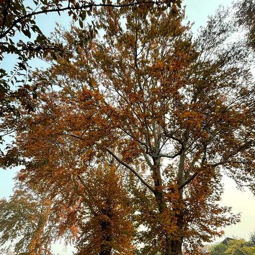 Photo #8131095