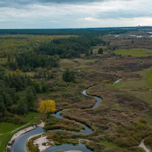 Photo #8131279