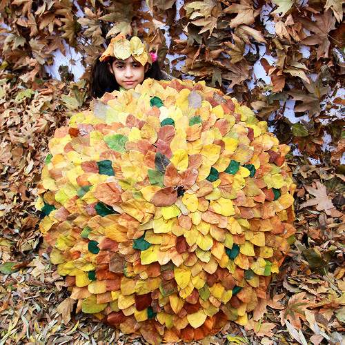 Photo #8131360