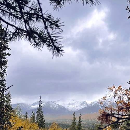 Photo #8131514