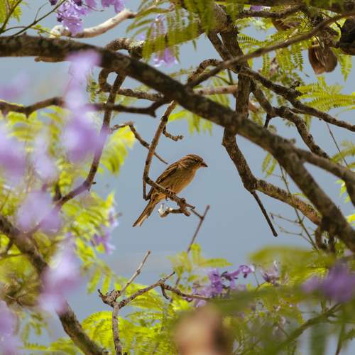 Photo #8131699