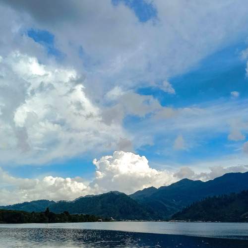 Photo #8131786