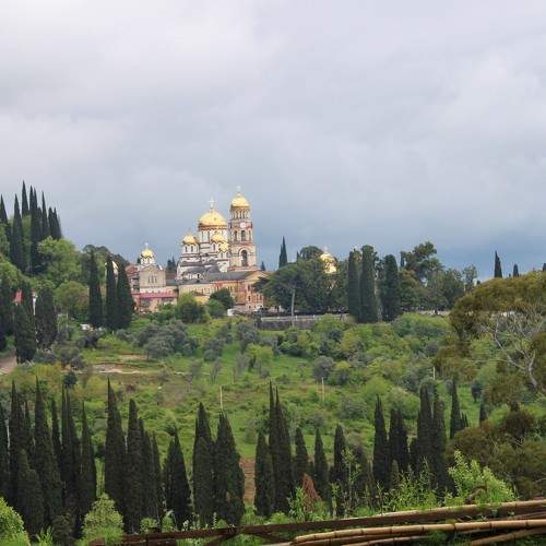 Photo #8131923