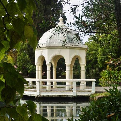 Photo #8131933