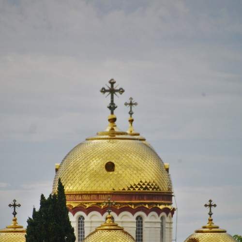 Photo #8131936