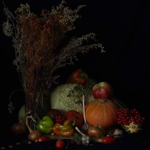 Photo #8132533