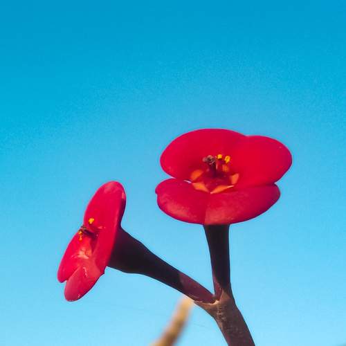 Photo #8132546