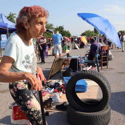 Photo #8132961