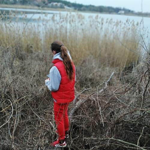 Photo #8133238