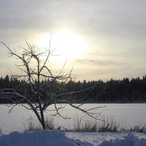 Photo #8133285