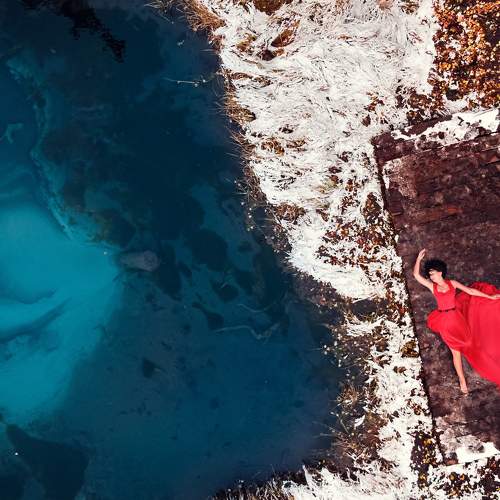 Photo #8133298