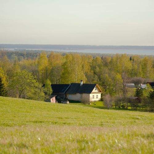 Photo #8133410