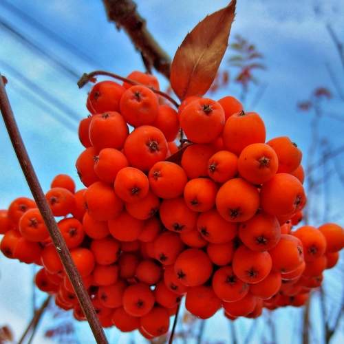 Photo #8133479