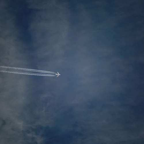 Photo #8133514