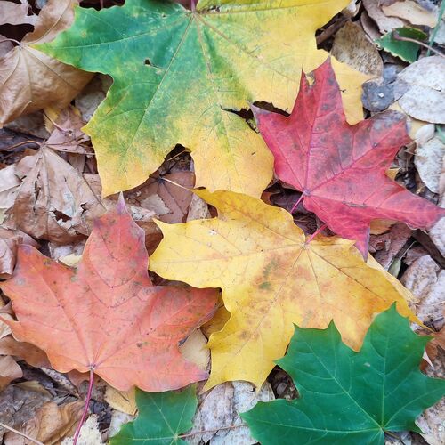 Photo #8133651