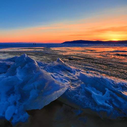 Photo #8133660