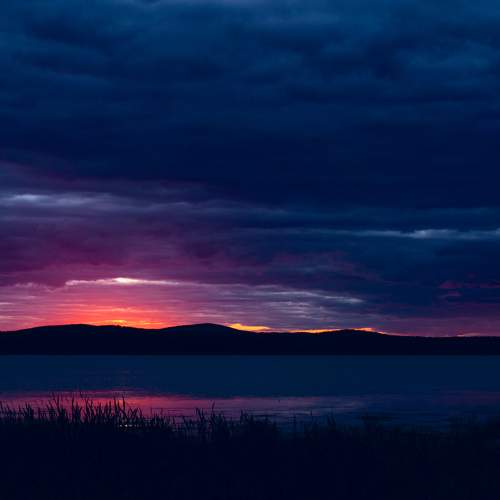 Photo #8133958