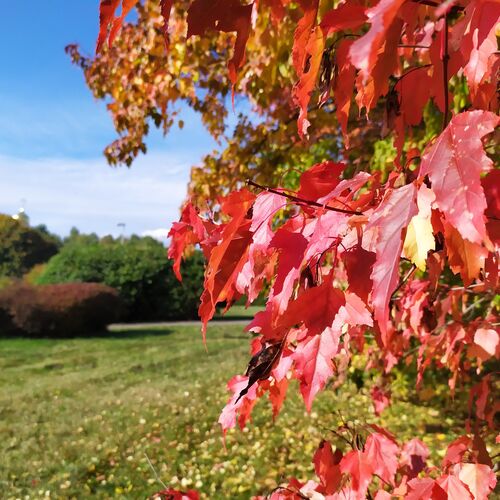 Photo #8134063