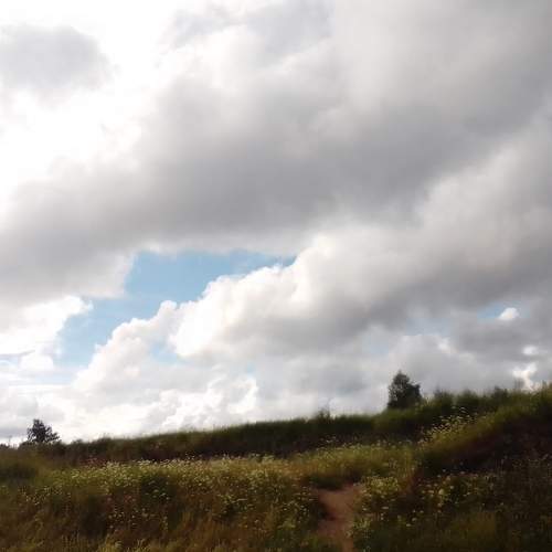 Photo #8134367
