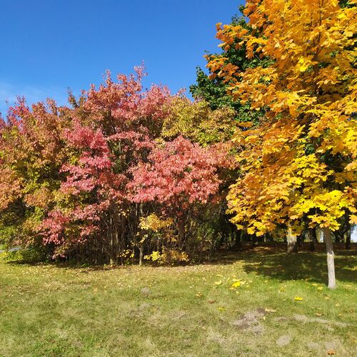 Photo #8134685